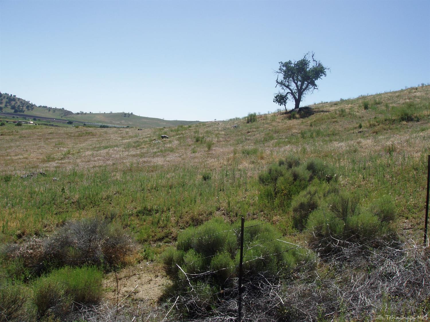 0 Jury Ranch Drive Tehachapi, CA 93561 - Photo 2 of 3 Gallery Image 2