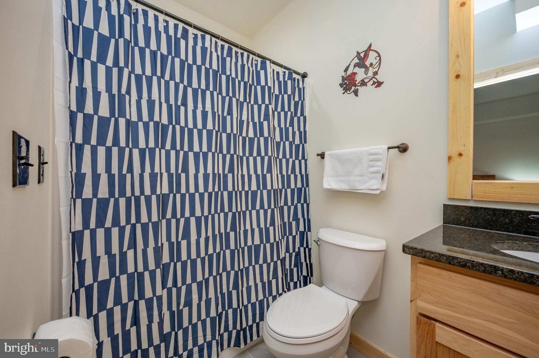 985 North Camp Road McHenry, MD 21541 - Photo 55 of 70