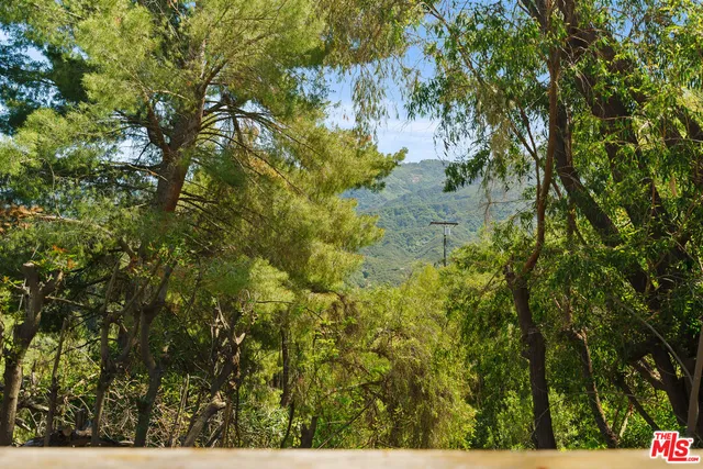 a view of a patio with table and chairs and potted plants