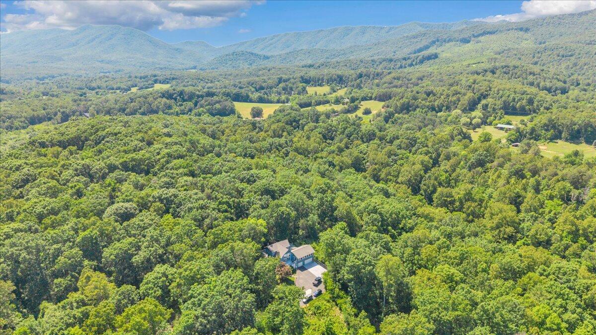 581 Idle Acres Road Fincastle, VA 24090 - Photo 94 of 95 101-DJI_20260605162955_0014_D