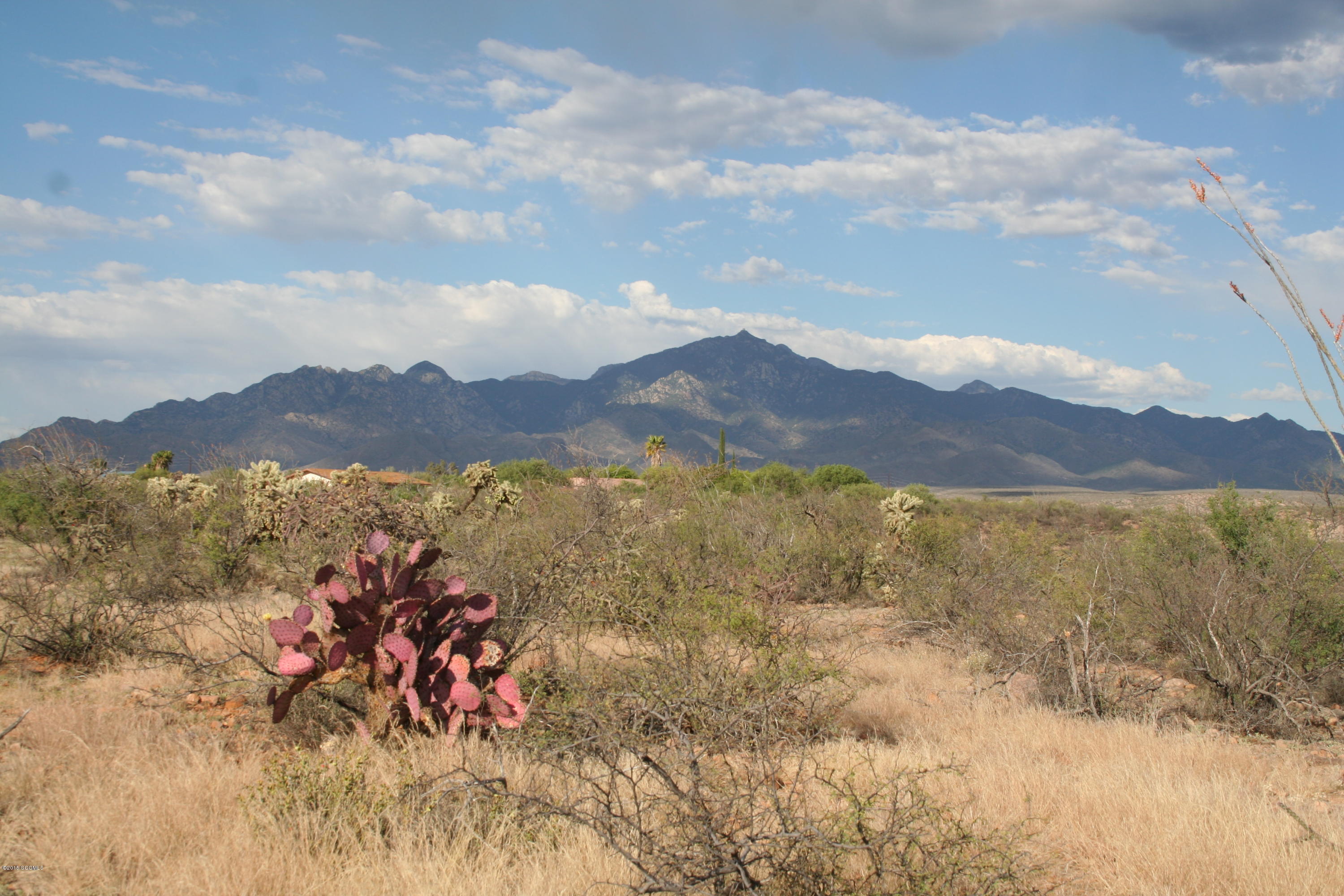 0 Chavez Siding Road, Unit 4 Tubac, AZ 85646 - Photo 9 of 10 IMG_3818