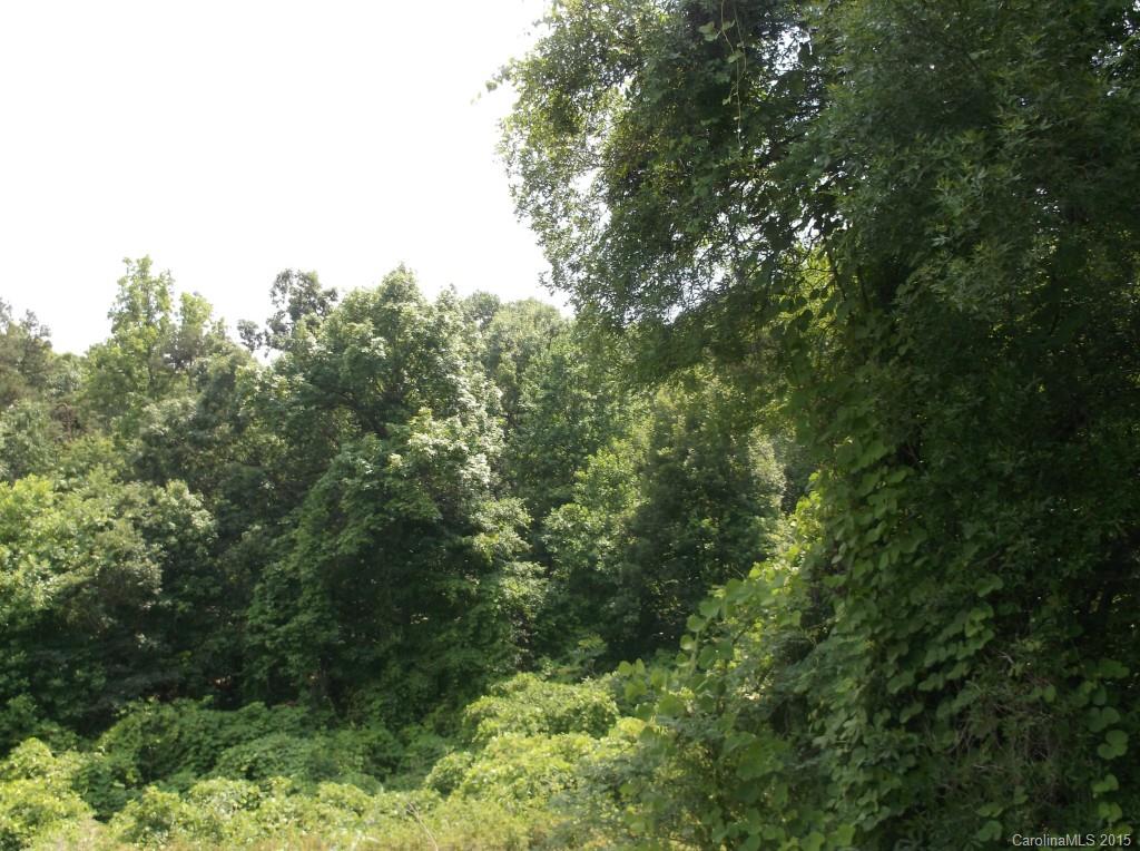 0 Byrd Road Albemarle, NC 28001 - Photo 4 of 9 Gallery Image 4
