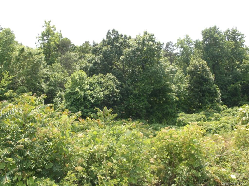 0 Byrd Road Albemarle, NC 28001 - Photo 5 of 9 Gallery Image 5