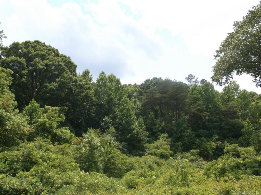 0 Byrd Road Albemarle, NC 28001 - Photo 7 of 9 Gallery Image 7