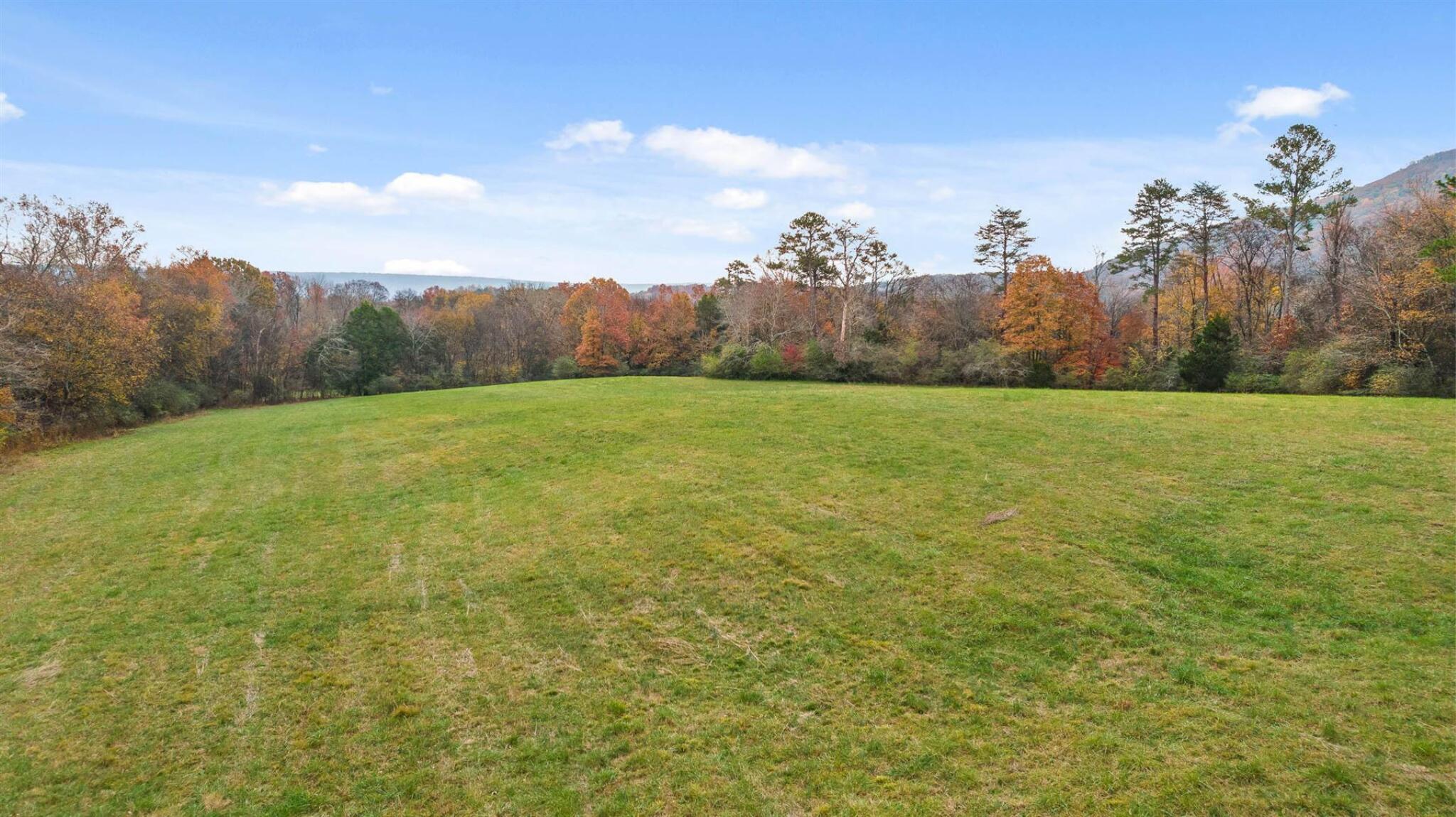 20-acres Deer Head Cove Road Rising Fawn, GA 30738 - Photo 11 of 21 Acreage