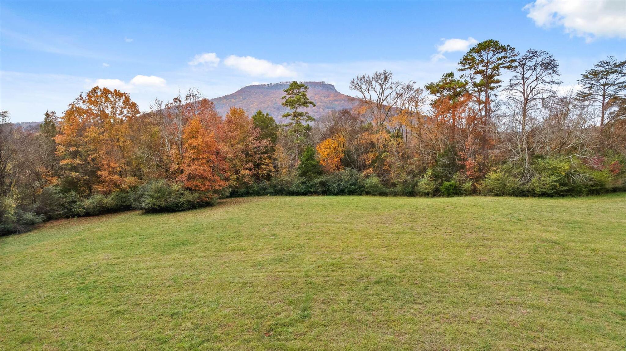 20-acres Deer Head Cove Road Rising Fawn, GA 30738 - Photo 12 of 21 Acreage