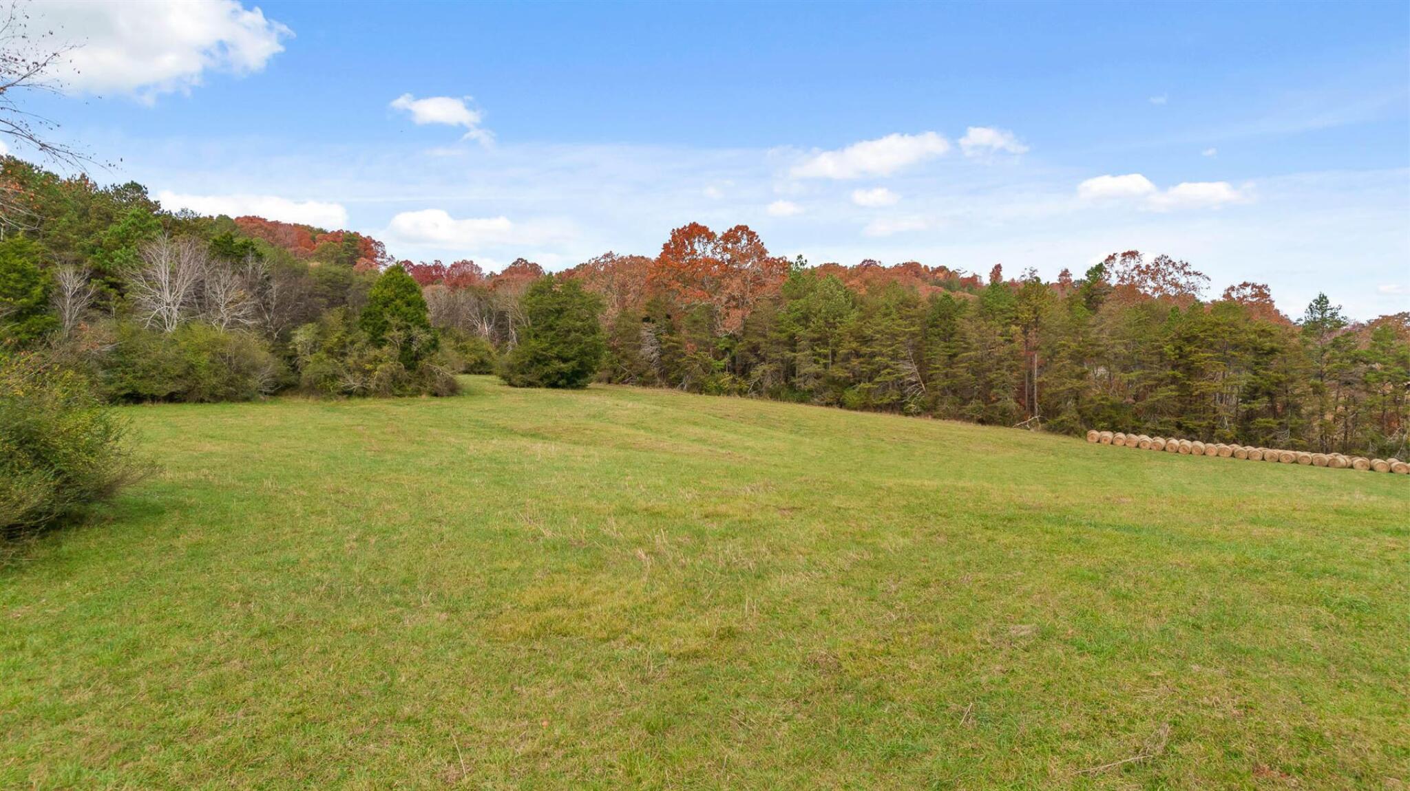 20-acres Deer Head Cove Road Rising Fawn, GA 30738 - Photo 13 of 21 Acreage