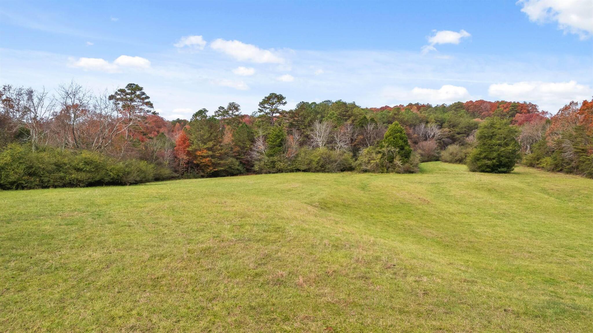 20-acres Deer Head Cove Road Rising Fawn, GA 30738 - Photo 14 of 21 Acreage