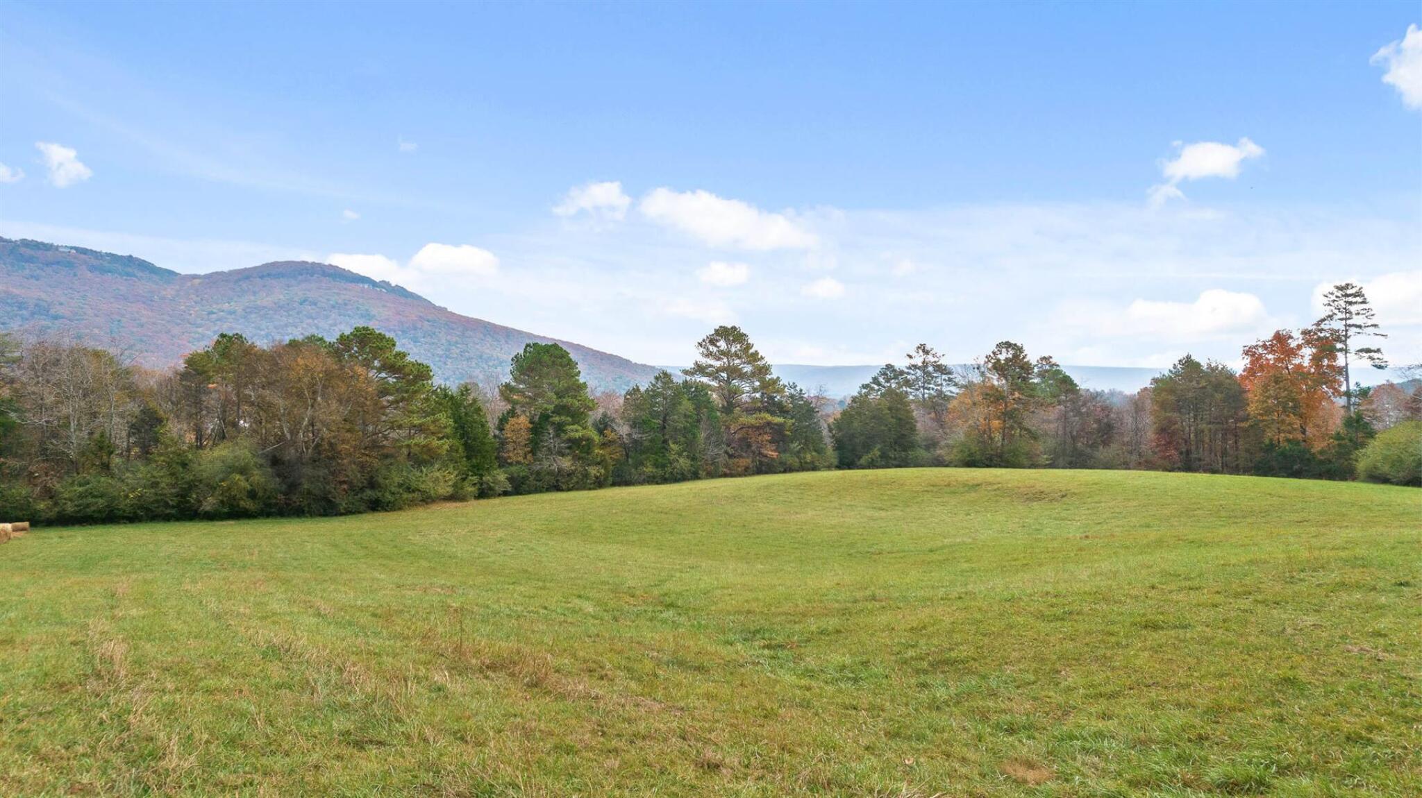 20-acres Deer Head Cove Road Rising Fawn, GA 30738 - Photo 15 of 21 Acreage
