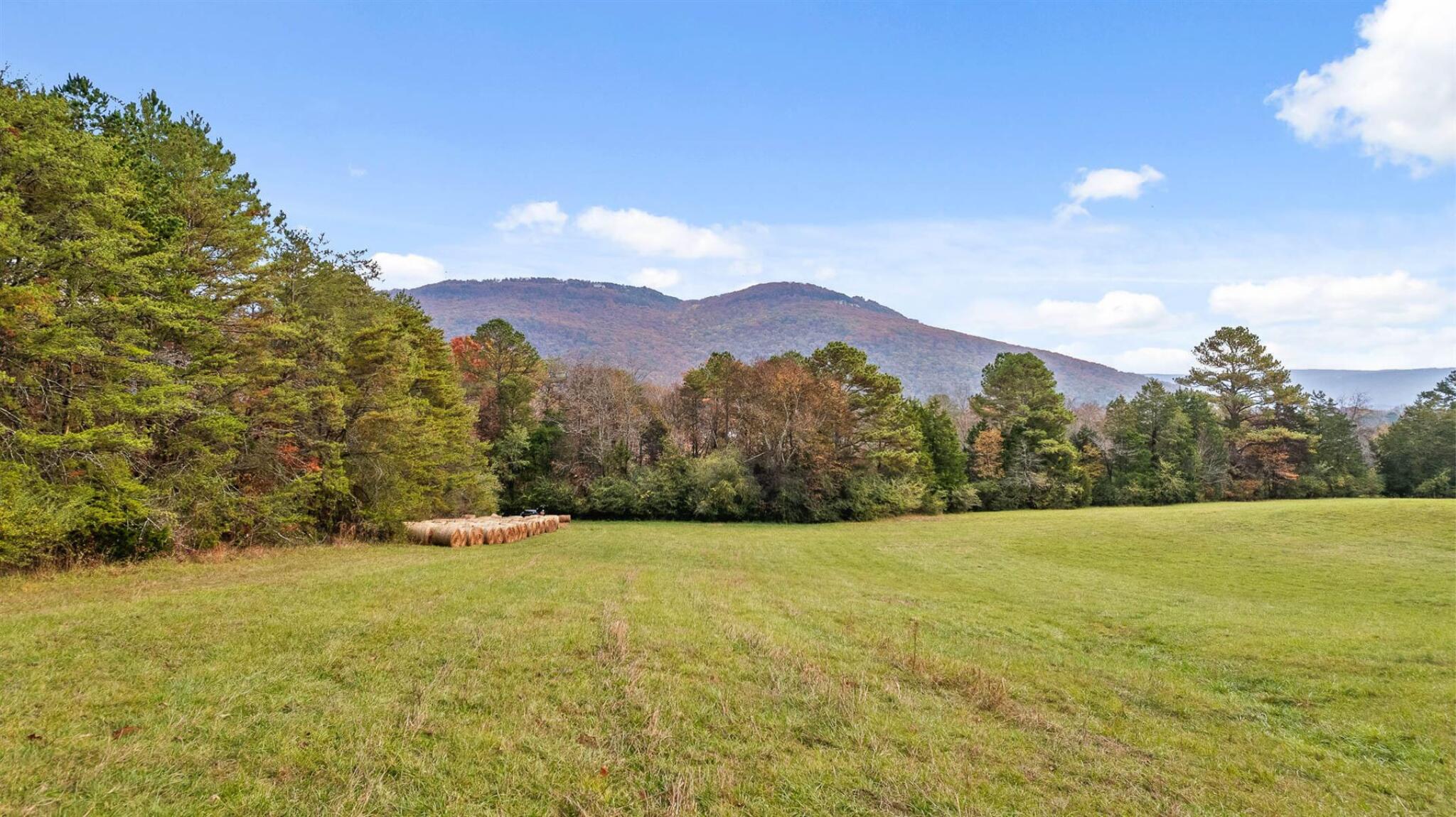20-acres Deer Head Cove Road Rising Fawn, GA 30738 - Photo 16 of 21 Views