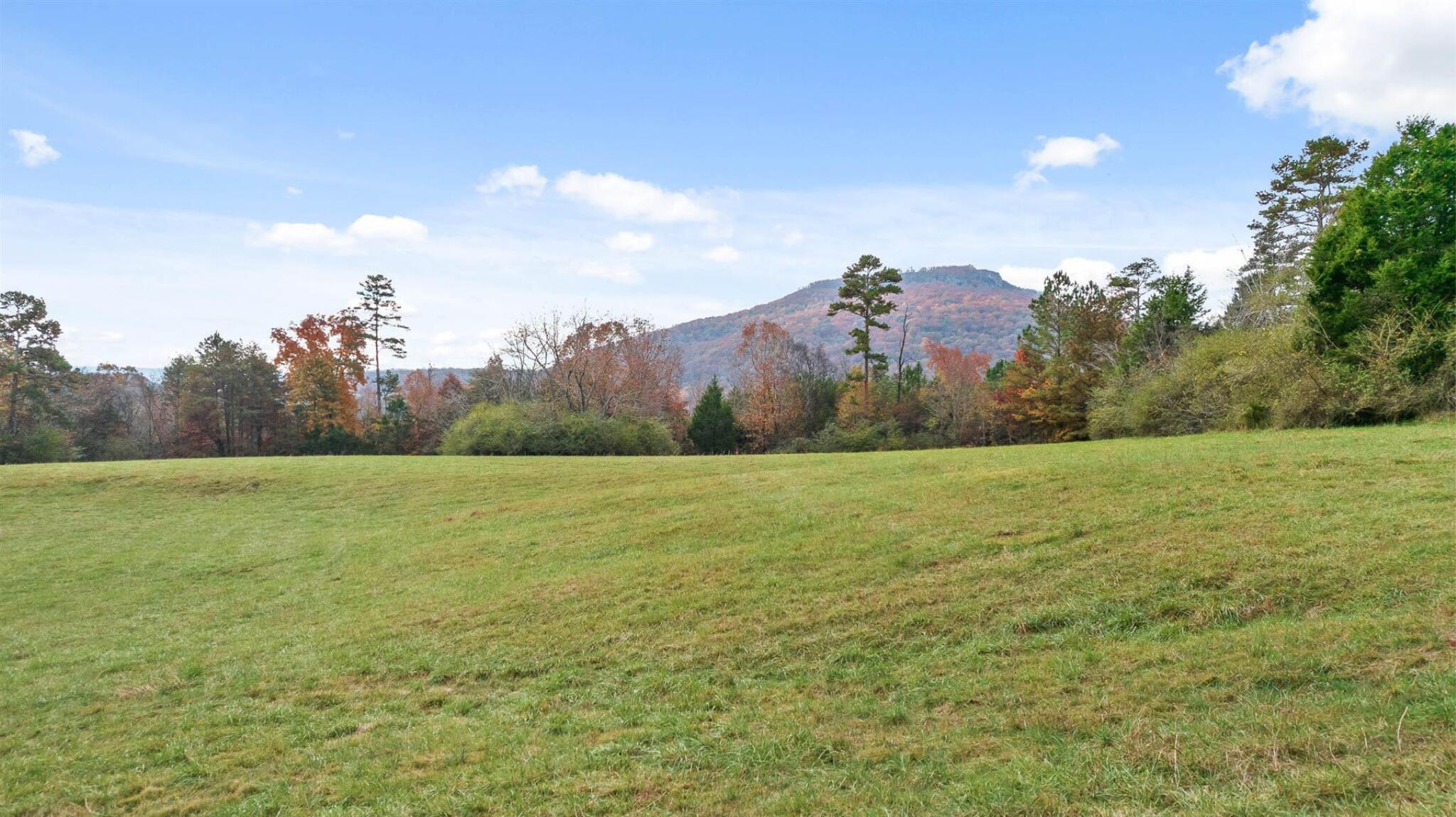 20-acres Deer Head Cove Road Rising Fawn, GA 30738 - Photo 17 of 21 Views