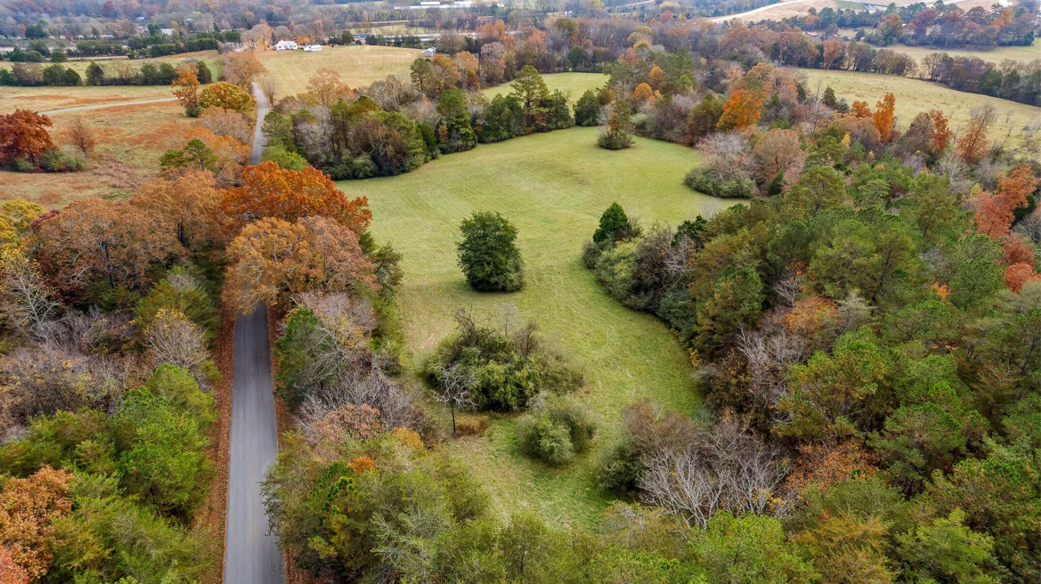 20-acres Deer Head Cove Road Rising Fawn, GA 30738 - Photo 18 of 21 Aerial View