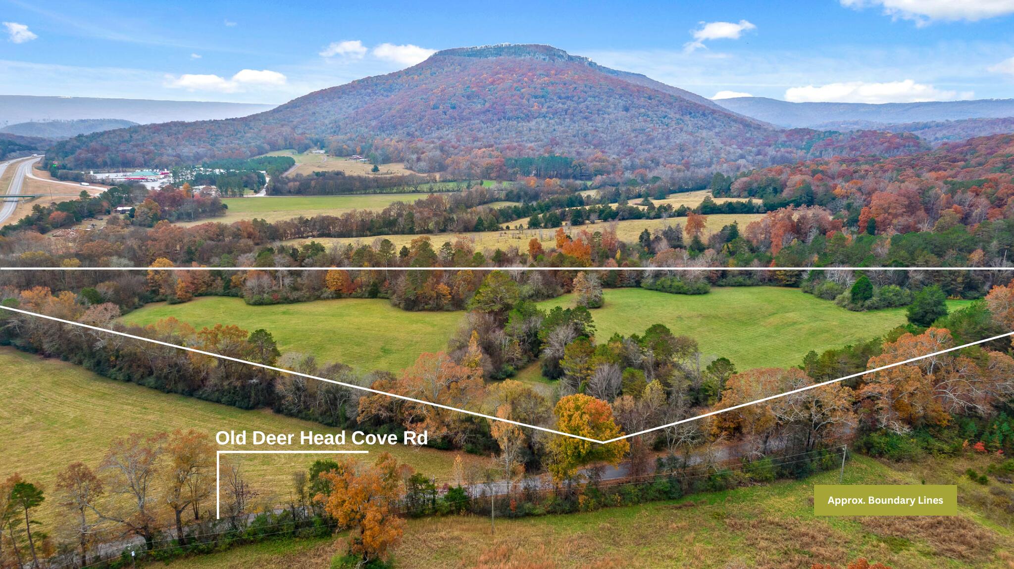 20-acres Deer Head Cove Road Rising Fawn, GA 30738 - Photo 2 of 21 Aerial View