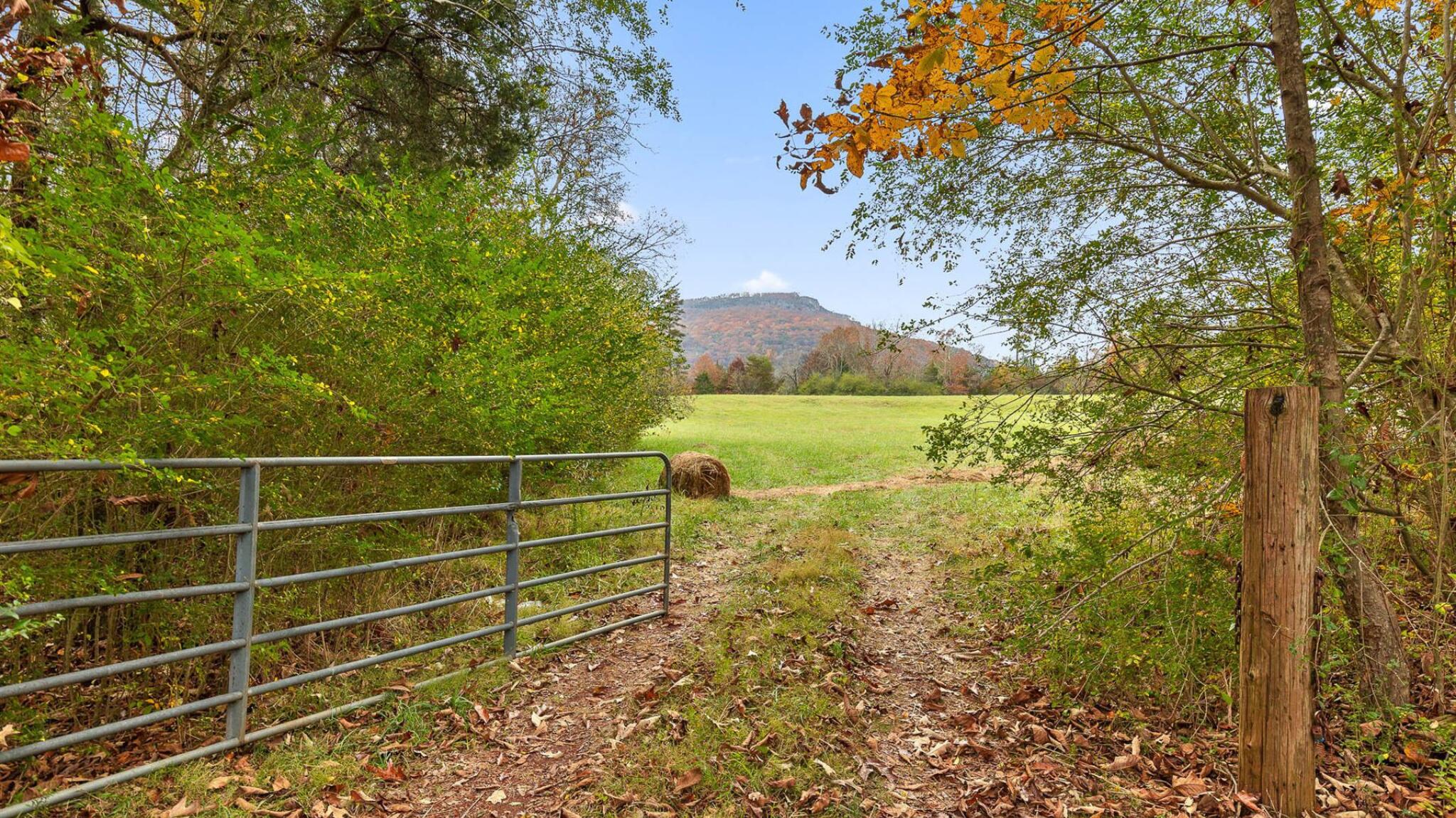 20-acres Deer Head Cove Road Rising Fawn, GA 30738 - Photo 3 of 21 Gated