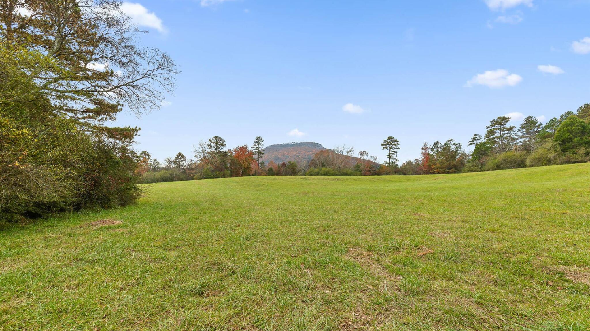 20-acres Deer Head Cove Road Rising Fawn, GA 30738 - Photo 5 of 21 Acreage