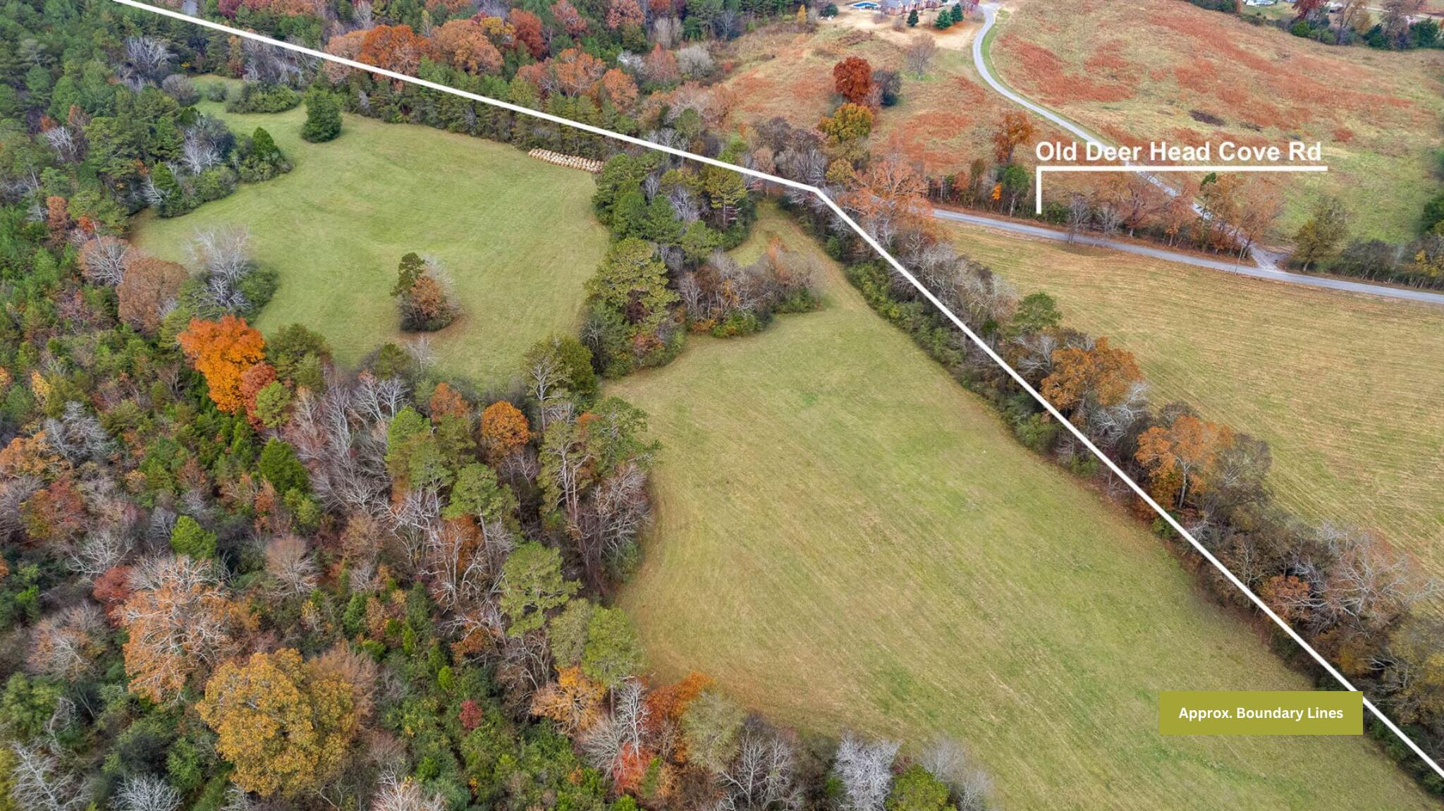 20-acres Deer Head Cove Road Rising Fawn, GA 30738 - Photo 10 of 21 Aerial View