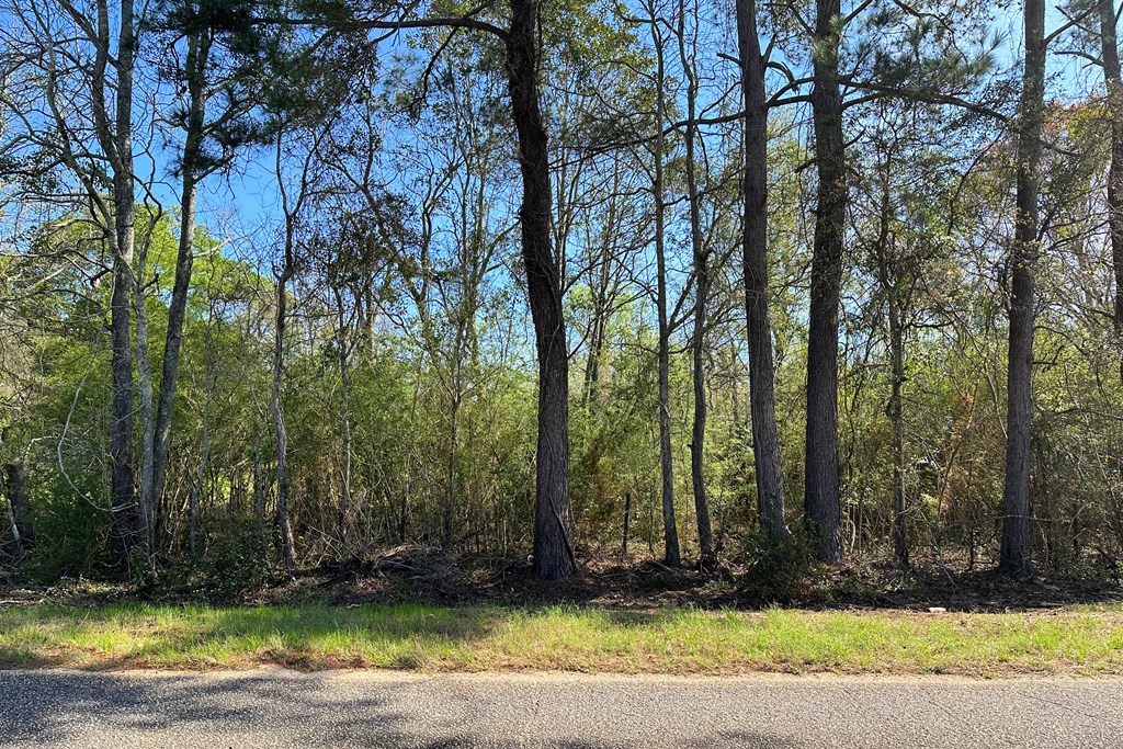 0 Lonnie Road Slocomb, AL 36375 - Photo 2 of 7