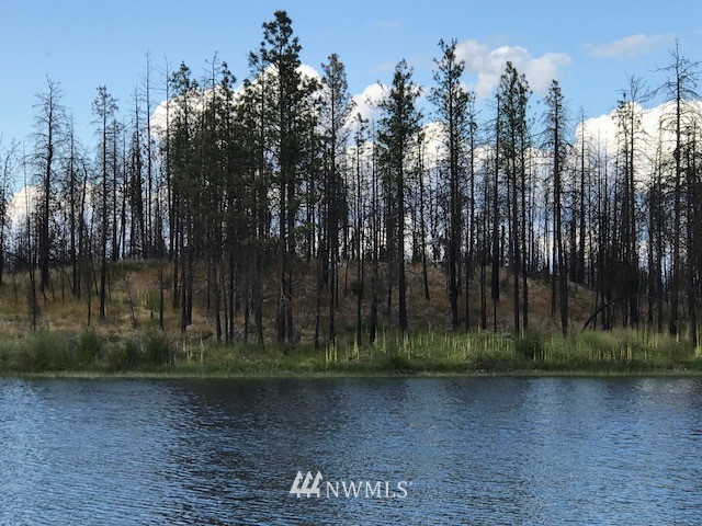0 Nhn Poison Lake Road Riverside, WA 98849 - Photo 1 of 1 a view of a yard