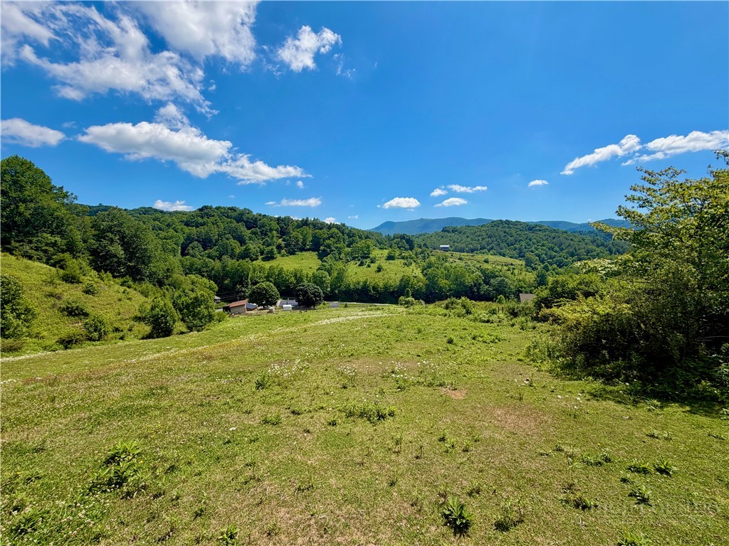 419 Fletcher Branch Road Vilas, NC 28692 - Photo 43 of 50