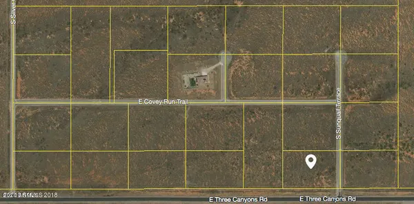 $60,000 | Three Canyons Road, Unit 22, Hereford, AZ 85615