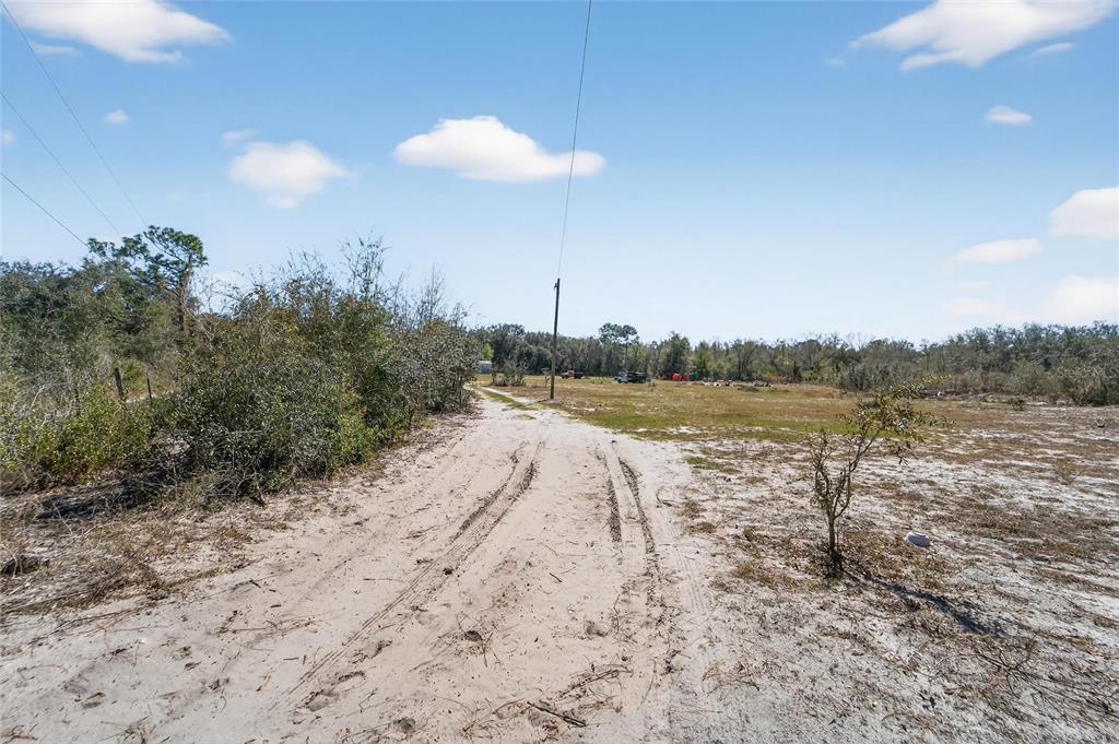 35238 Manuel Street Webster, FL 33597 - Photo 13 of 81