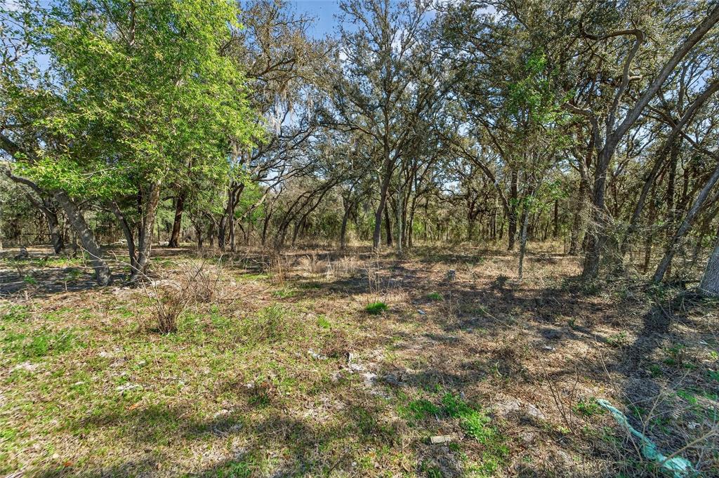 35238 Manuel Street Webster, FL 33597 - Photo 4 of 81