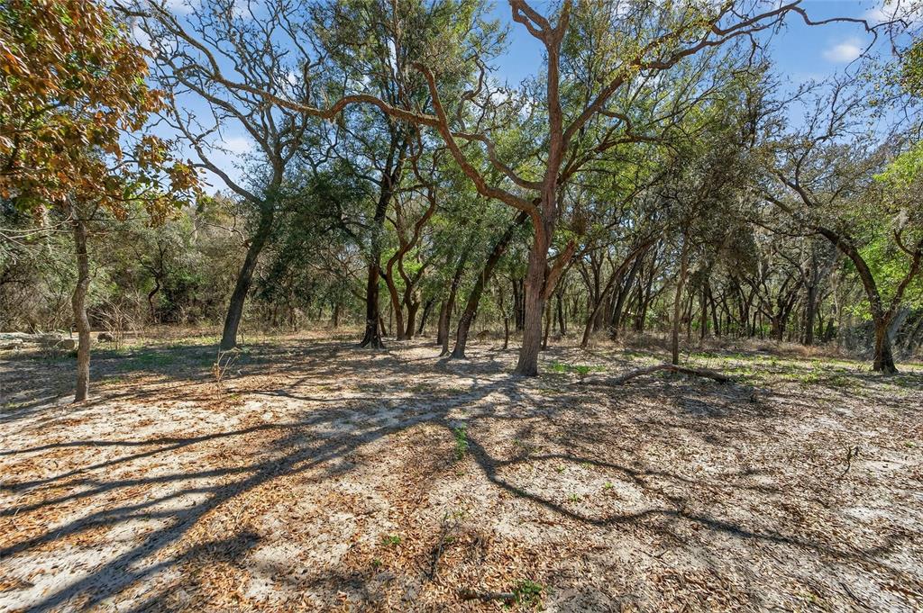 35238 Manuel Street Webster, FL 33597 - Photo 49 of 81