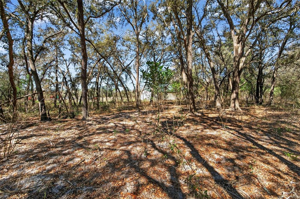 35238 Manuel Street Webster, FL 33597 - Photo 51 of 81