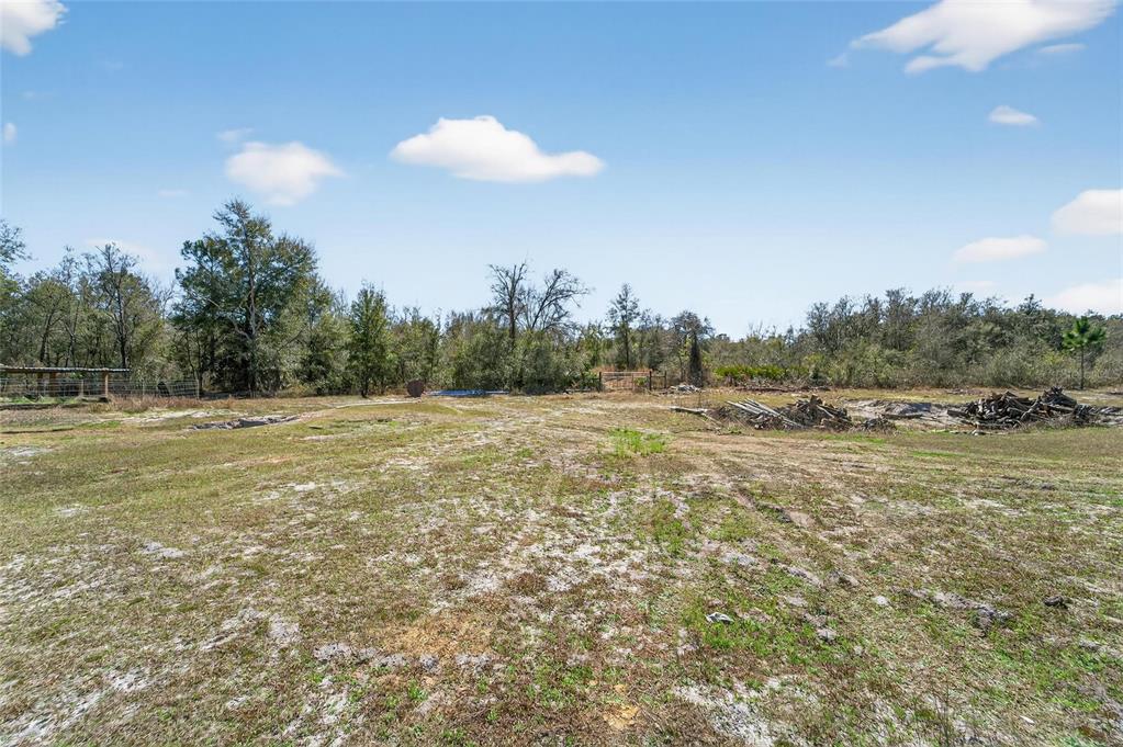 35238 Manuel Street Webster, FL 33597 - Photo 62 of 81