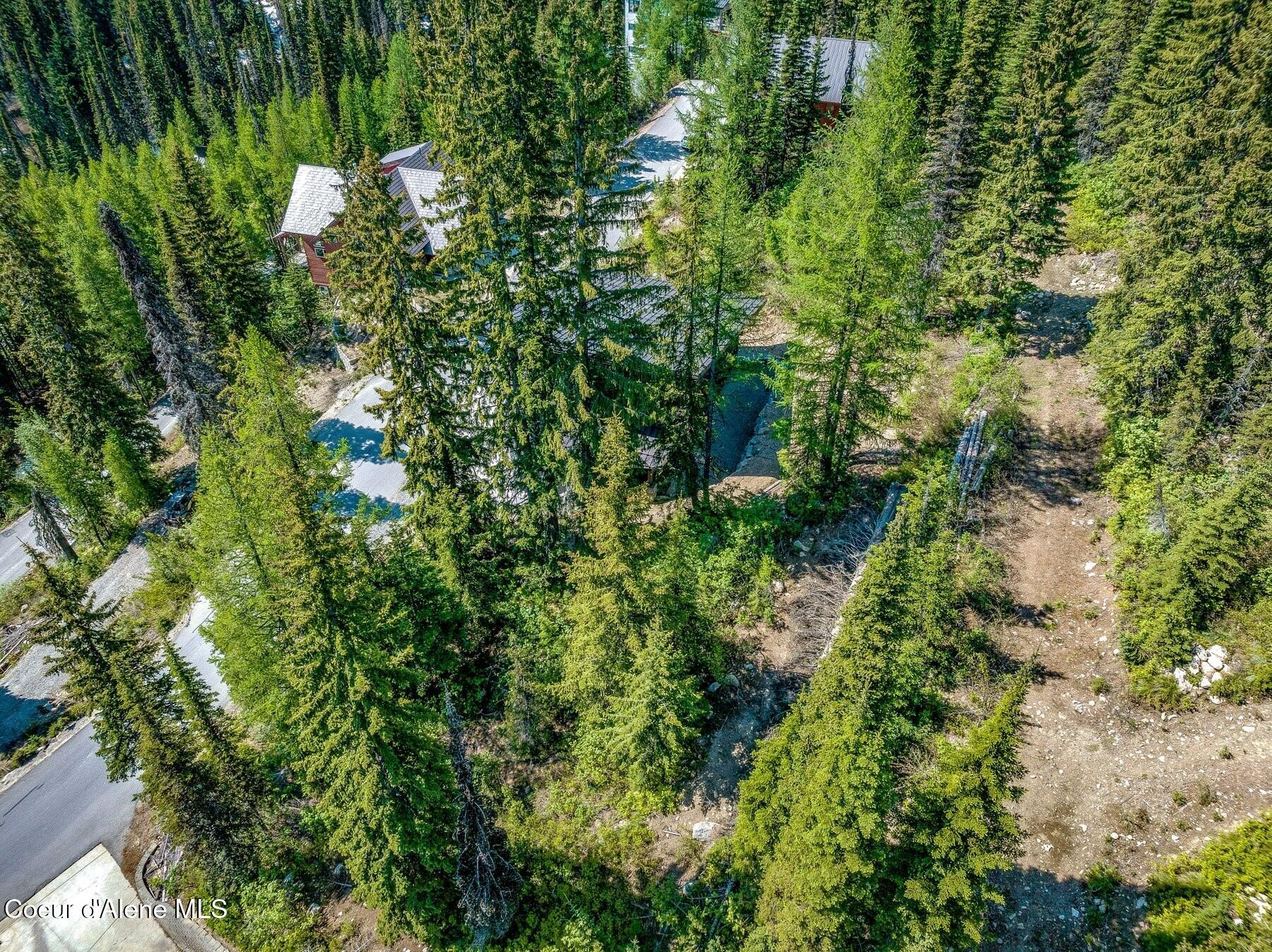 B1 Tall Timber Road Sandpoint, ID 83864 - Photo 10 of 54 Ski Trail Touching Property