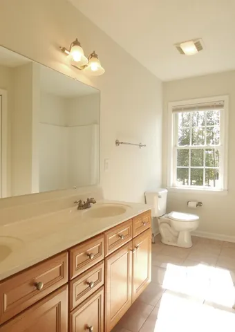 a bathroom with a sink a toilet and a mirror