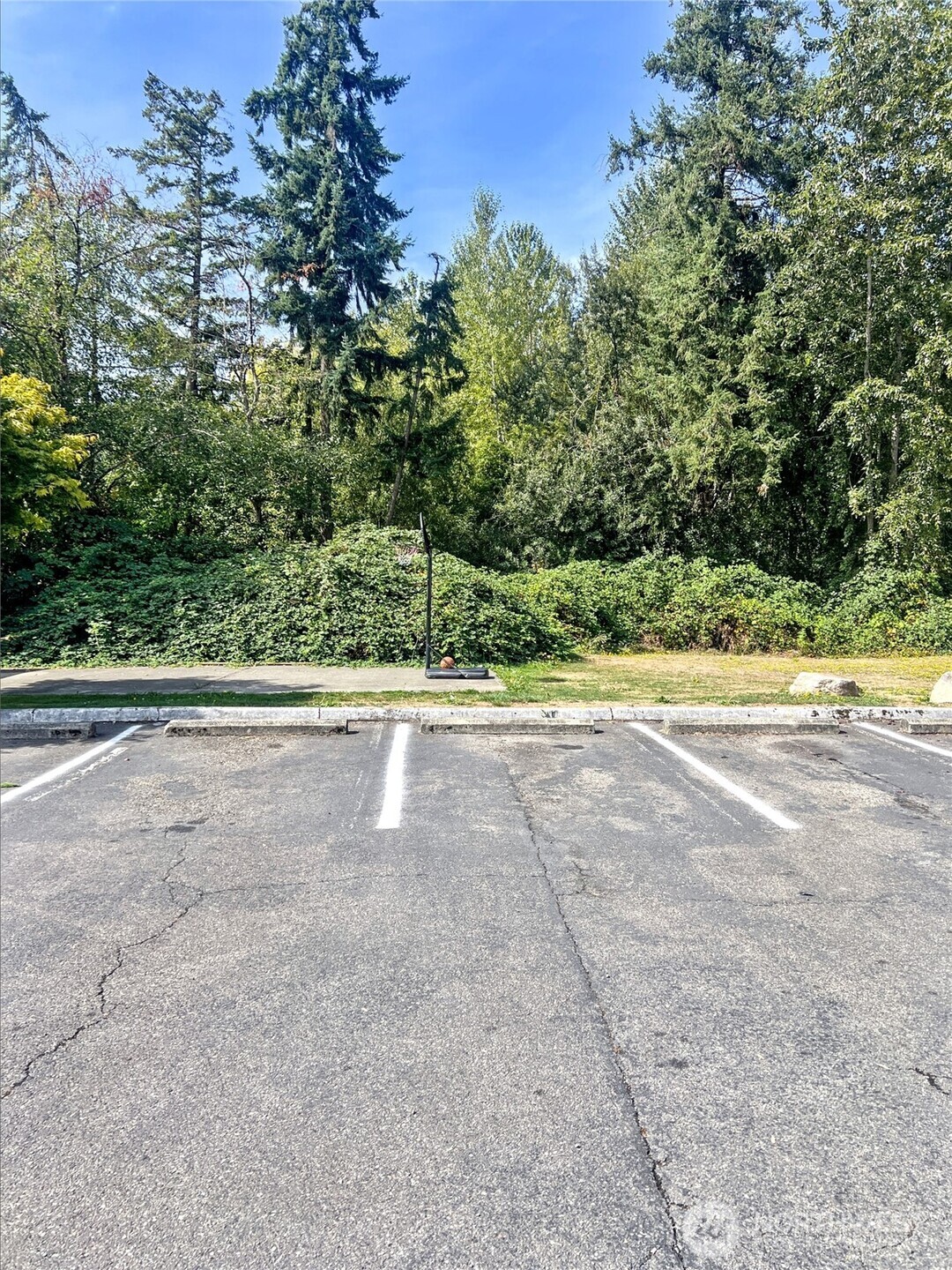 10018 Golden Given Road East, Unit 33 Tacoma, WA 98445 - Photo 7 of 8 a view of a road with a yard
