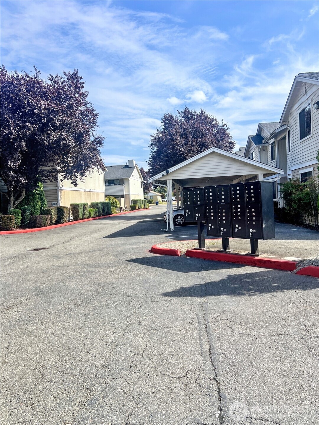 10018 Golden Given Road East, Unit 33 Tacoma, WA 98445 - Photo 8 of 8 a view of the street and trees