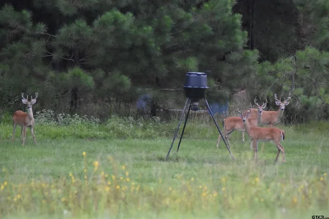 $735,000 | 9040 County Road 3600, Brownsboro, TX 75756