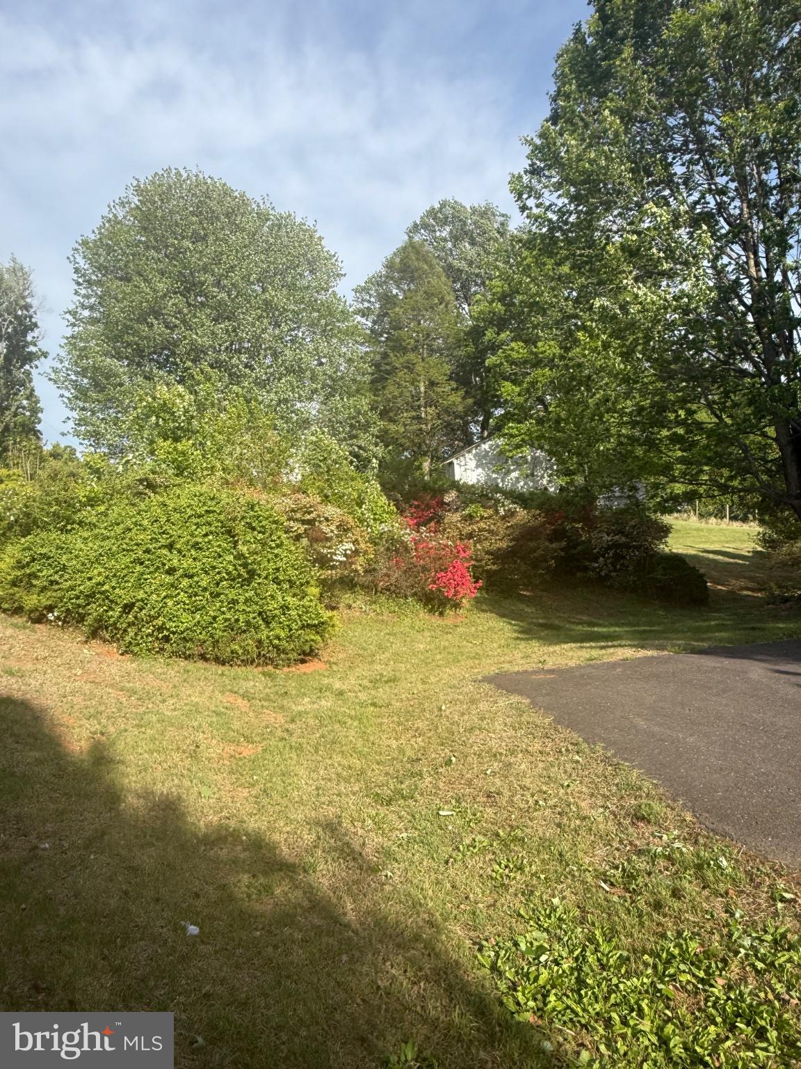 13420 Chestnut Fork Road Culpeper, VA 22701 - Photo 3 of 19 Lush greenery with vibrant blooms.