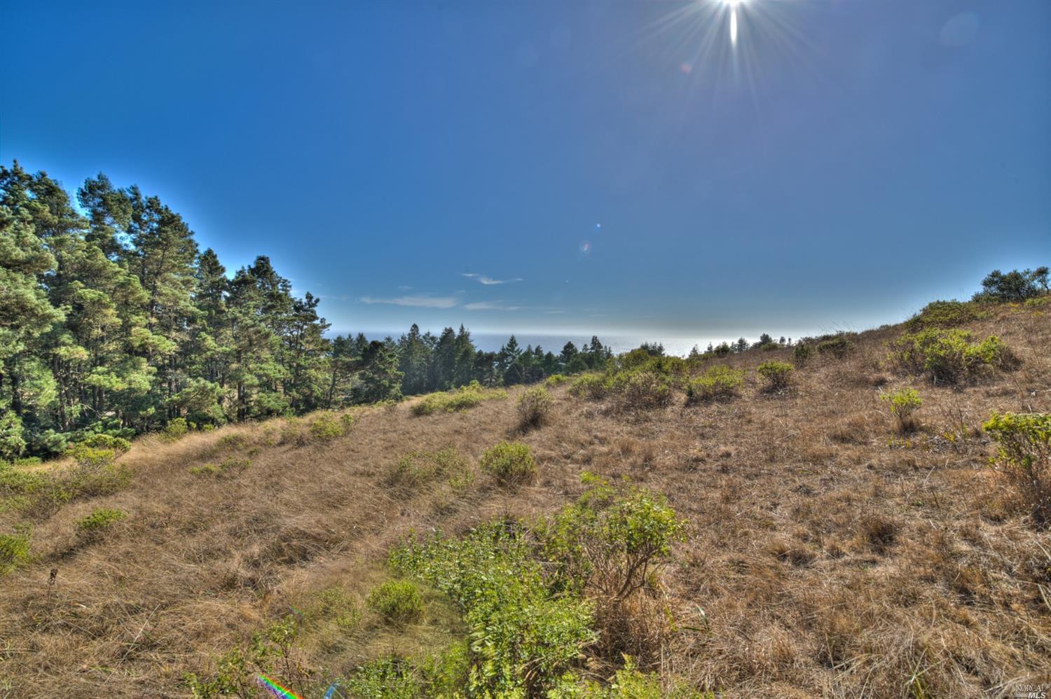 36681 Timber Ridge Road, Unit 30A The Sea Ranch, CA 95497 - Photo 1 of 1 a view of a dry yard with trees in the background