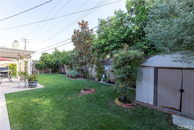 a view of a backyard with potted plants and large trees