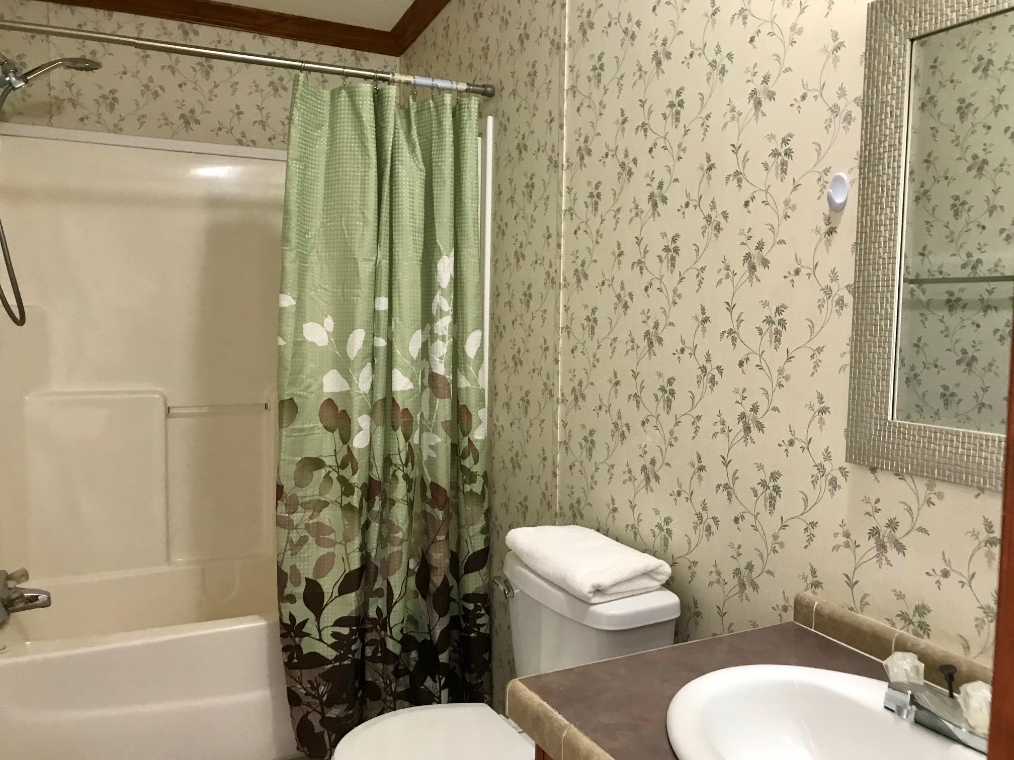665 Morrison Bridge Road Vass, NC 28394 - Photo 8 of 13 Guest Bath