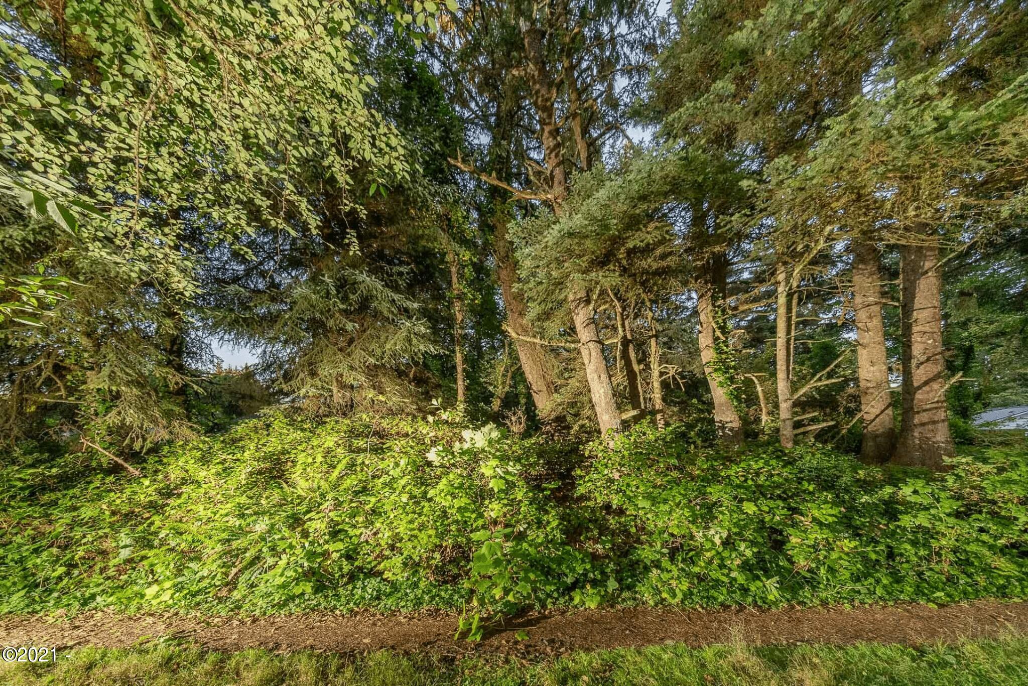 13 Northeast Vine Maple Loop Yachats, OR 97498 - Photo 1 of 1 Primary