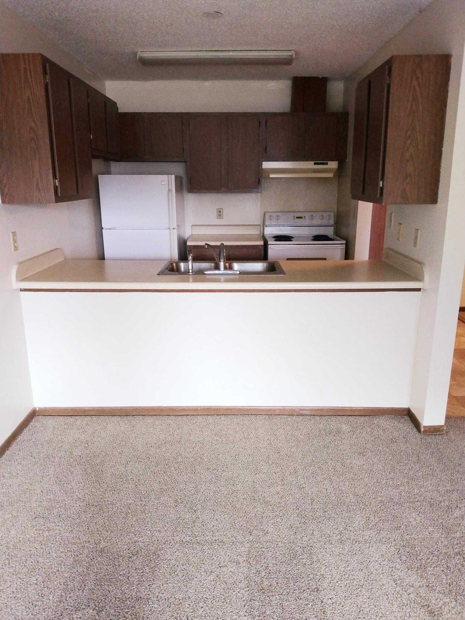 520 St Johns Street, Unit 6 Morgan, MN 56266 - Photo 4 of 11