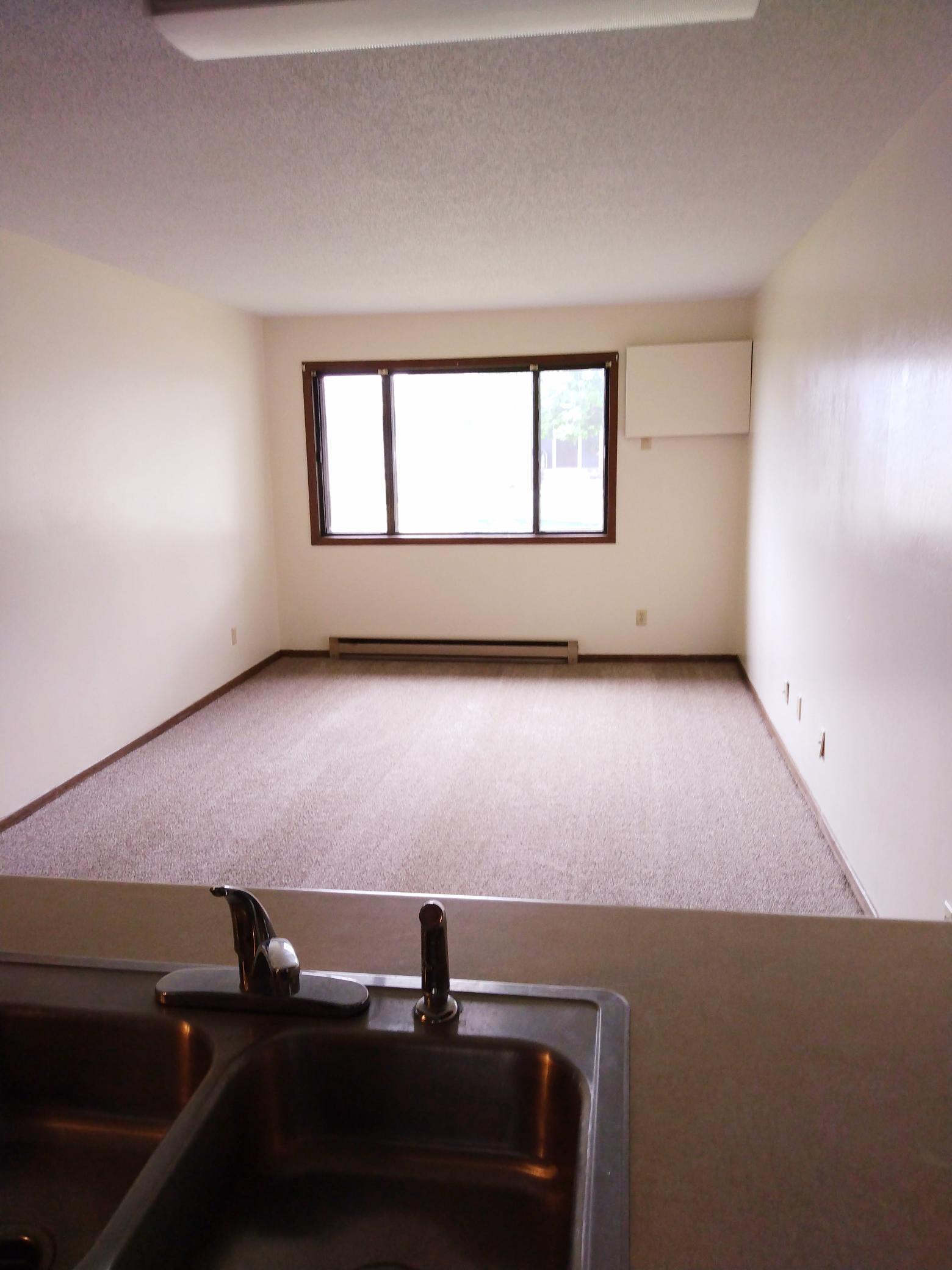 520 St Johns Street, Unit 6 Morgan, MN 56266 - Photo 5 of 11