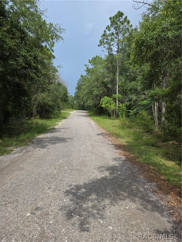 3211 East Millside Lane Inverness, FL 34453 - Photo 8 of 20