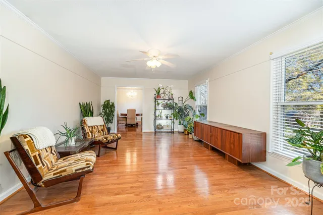 a living room with furniture and a potted plant