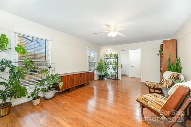 a living room with furniture and a potted plant