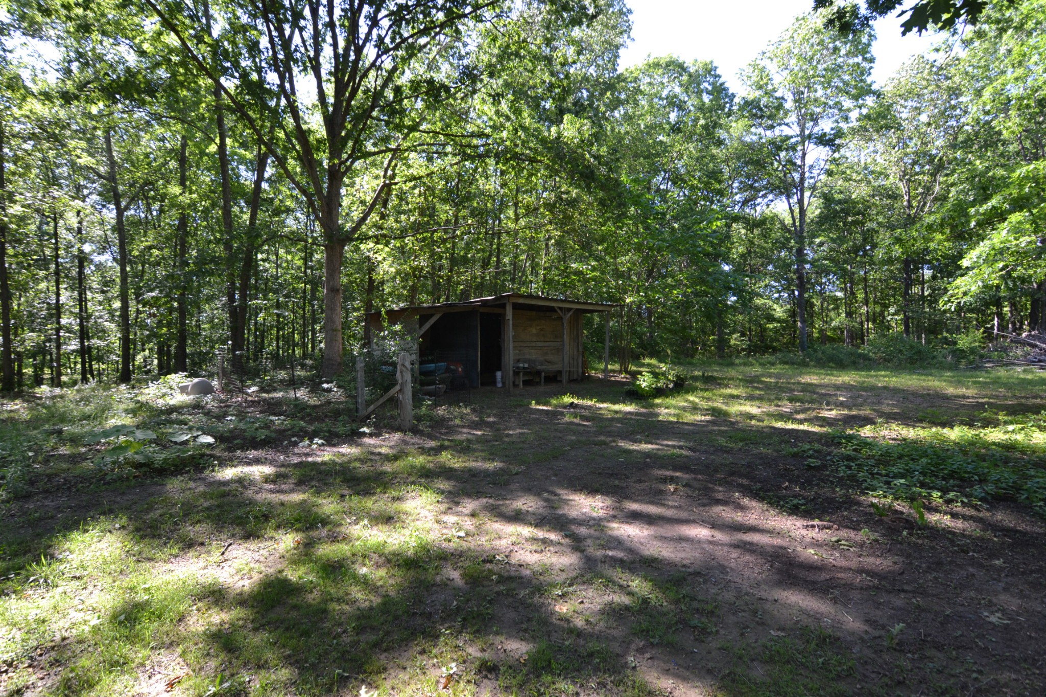 6046 Pumping Station Road Iron City, TN 38463 - Photo 8 of 32 Gallery Image 8