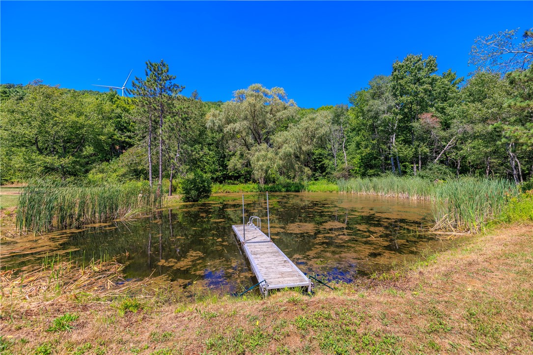 9929 Lake Hollow Road Cohocton, NY 14826 - Photo 12 of 46