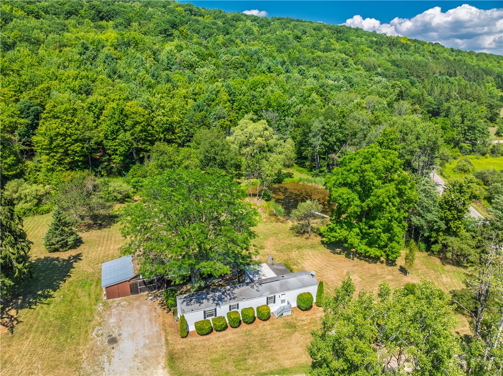 9929 Lake Hollow Road Cohocton, NY 14826 - Photo 5 of 46