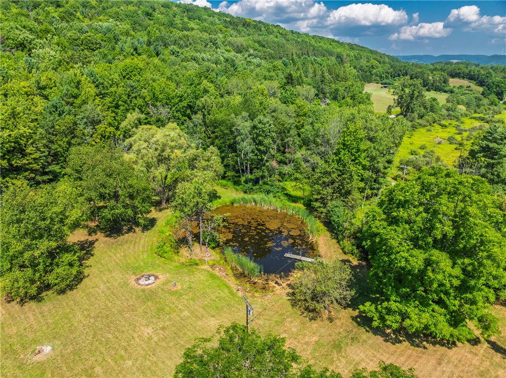 9929 Lake Hollow Road Cohocton, NY 14826 - Photo 6 of 46