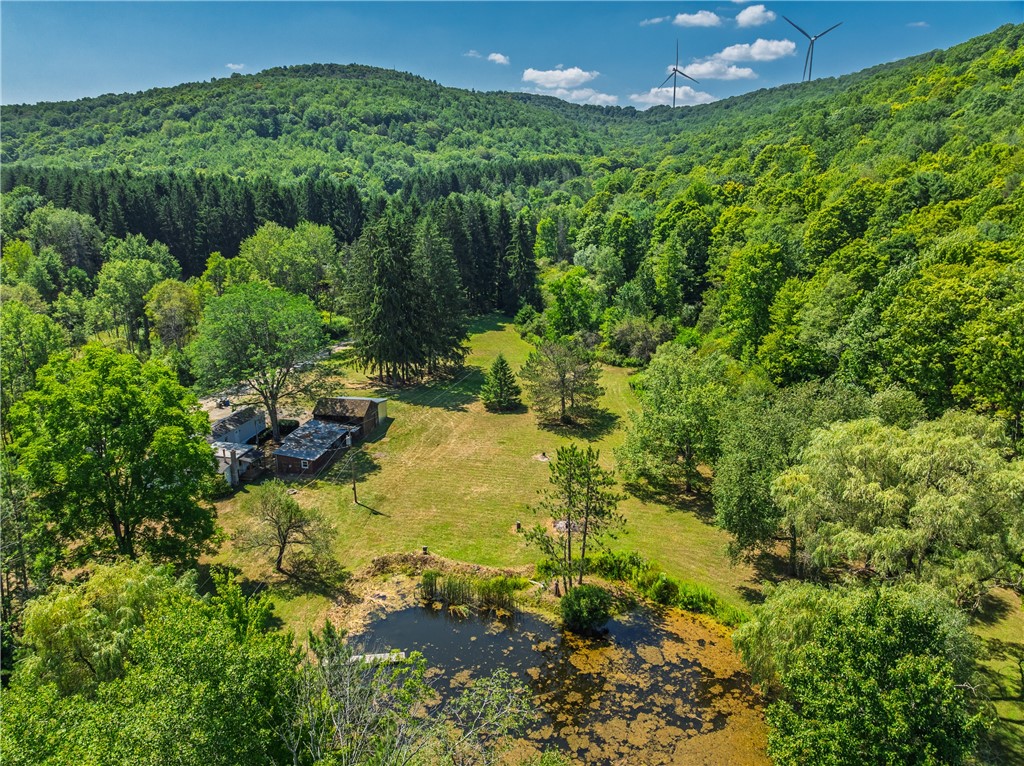 9929 Lake Hollow Road Cohocton, NY 14826 - Photo 7 of 46