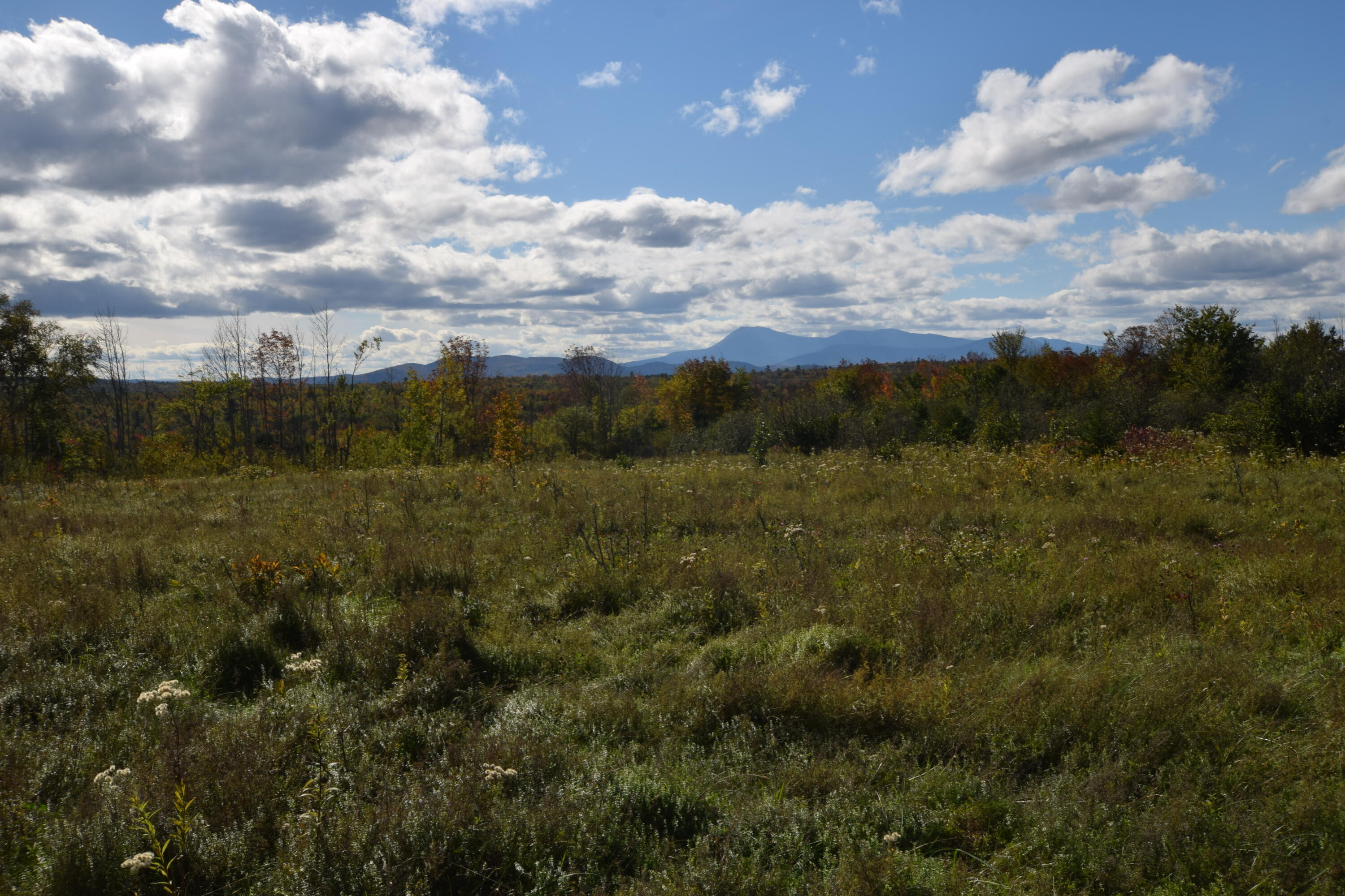Lot 5 Barleyville Road Patten, ME 04765 - Photo 22 of 45 Mount Katahdin...